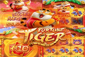 winboleh Evolution Speed Baccarat